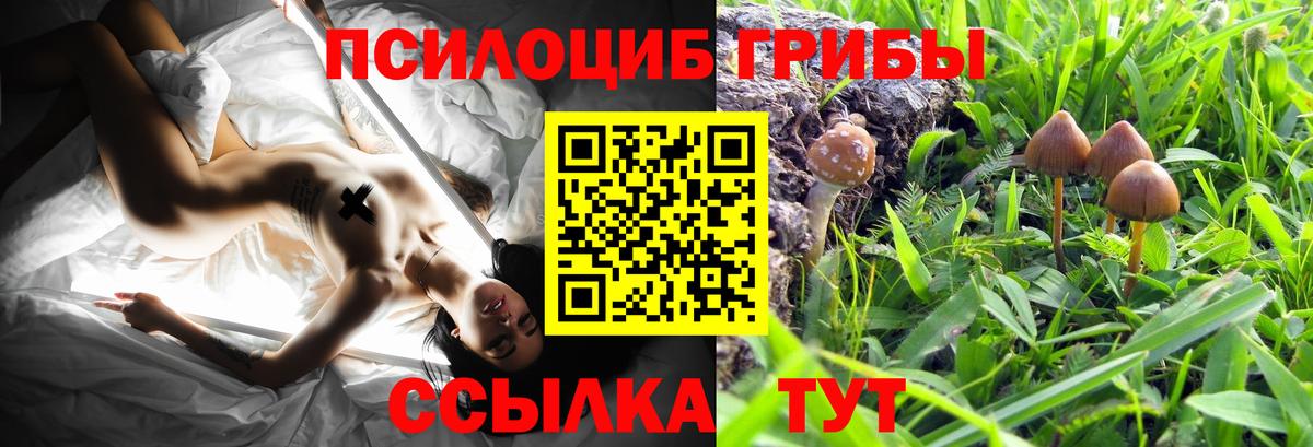Меф МЯУ МЯУ   Конопля  АМФ кристаллы  Cocaine  Экстази  Гашиш  Брянск  Вход с VPN  Вейп ТГК  Alpha PVP СОЛЬ кристаллы  MDMA 