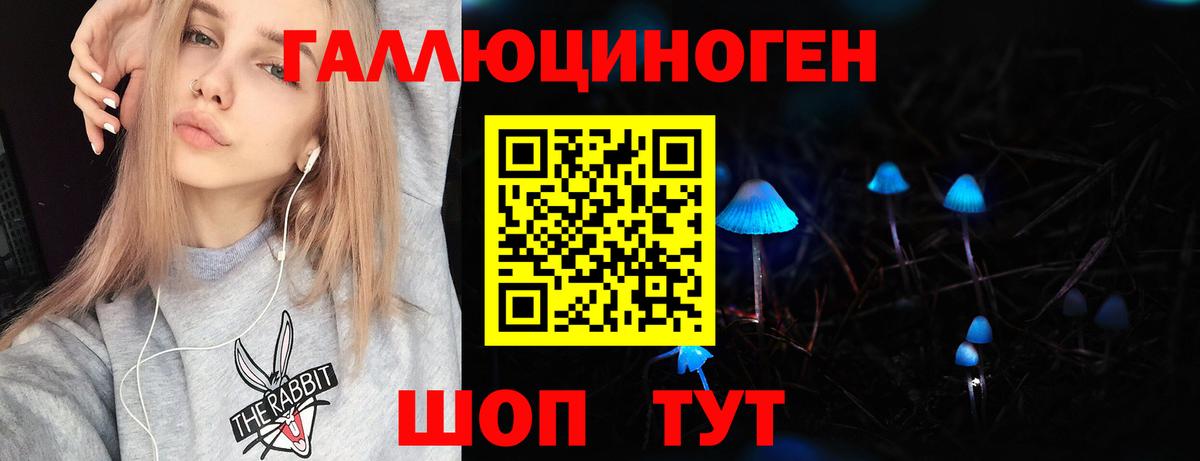 Брянск  Галлюциногенные грибы GOLDEN TEACHER  Вход с VPN 
